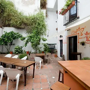 https://oasis-backpackers-hostel.es-andalucia.com